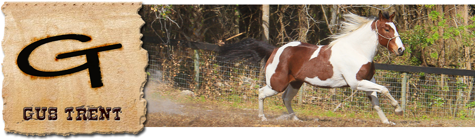 Gus Trent Horse Ranch